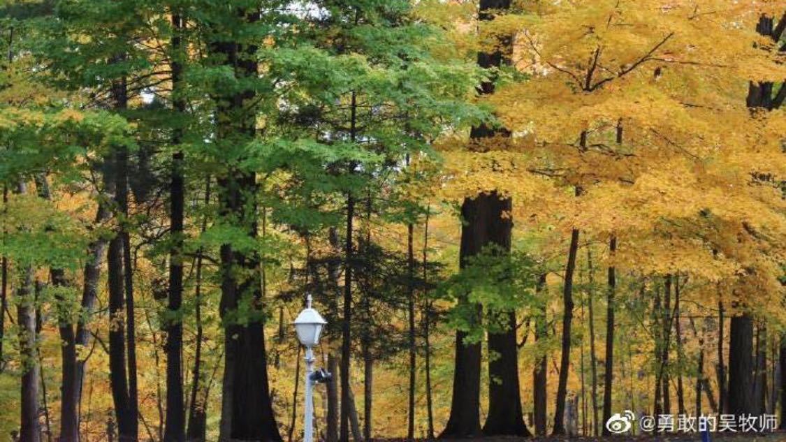 女子彻夜充电致全身烧伤